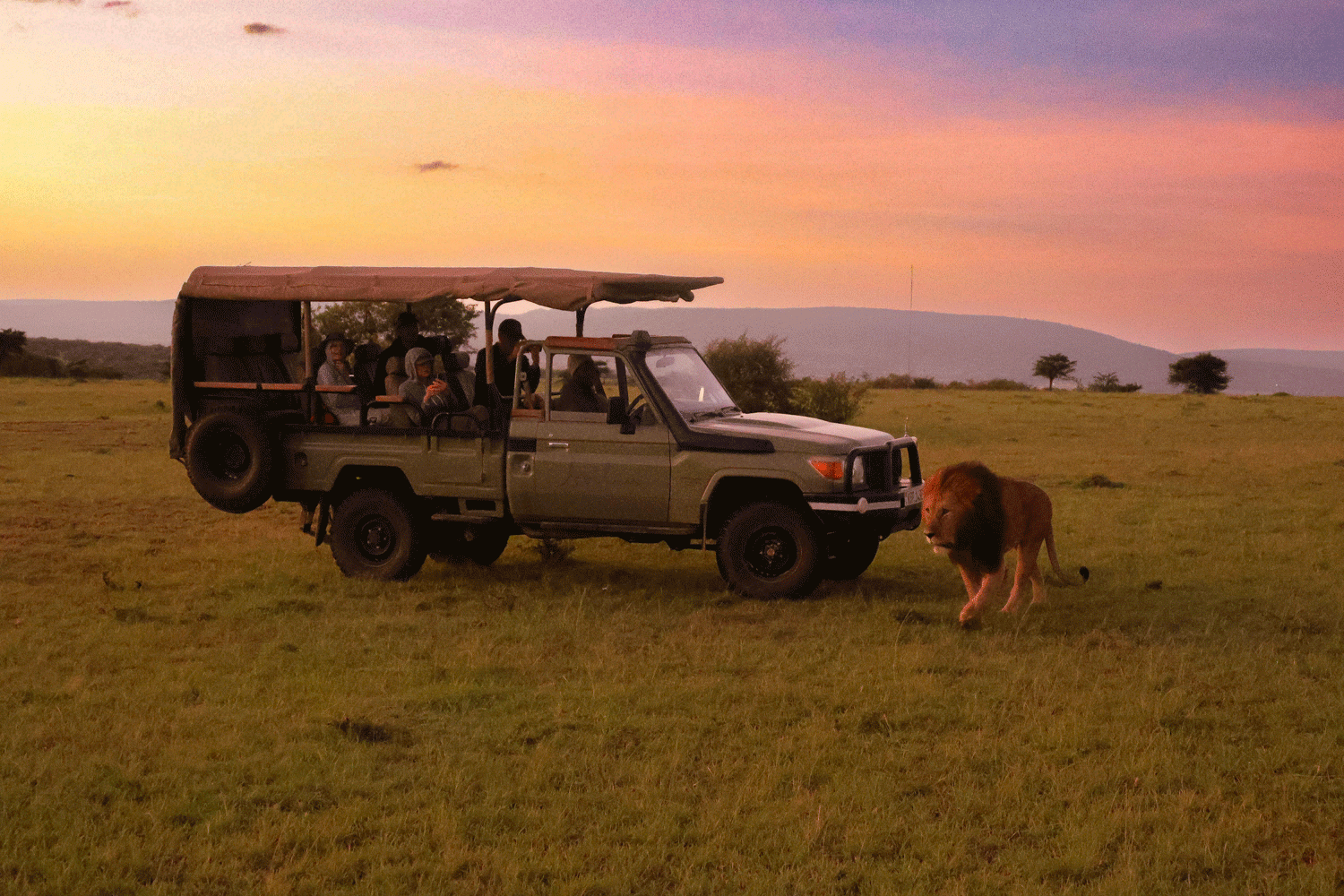 Safari från Zanzibar