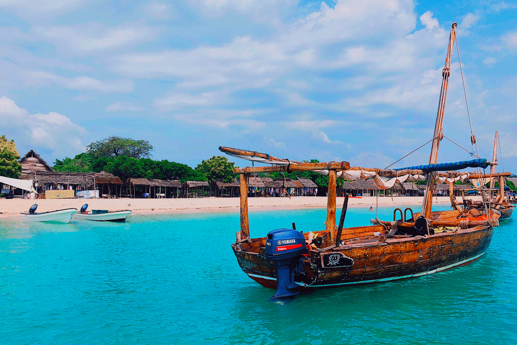 Zanzibar natur och hav