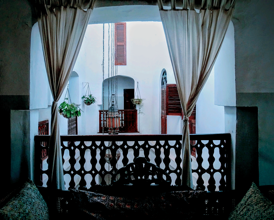 Zanzibar natur och hav