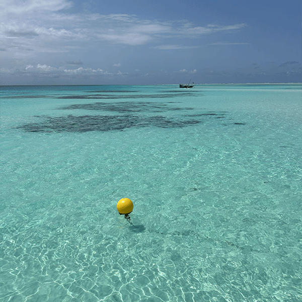 Paradisstrand i Nungwi