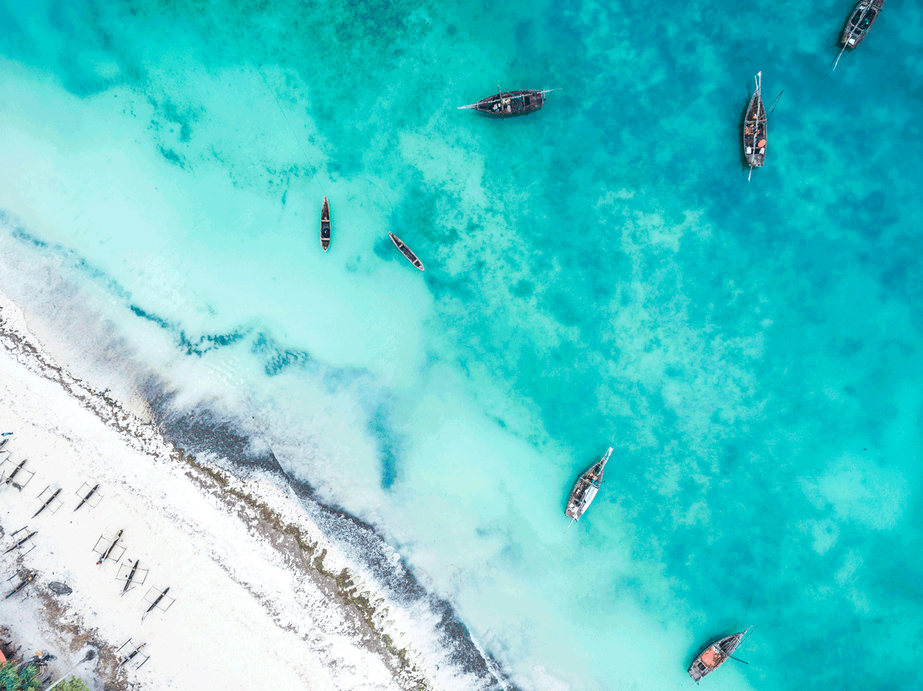 Zanzibar Heritage Large