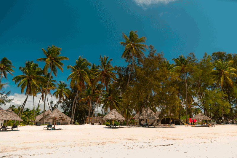 Zanzibar Kendwa Beach