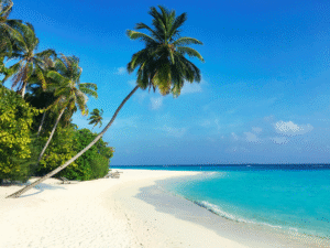 Mnemba Island, Zanzibar