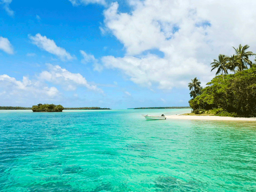 Kristallklart vatten vid Mnemba Island under en oförglömlig utflykt