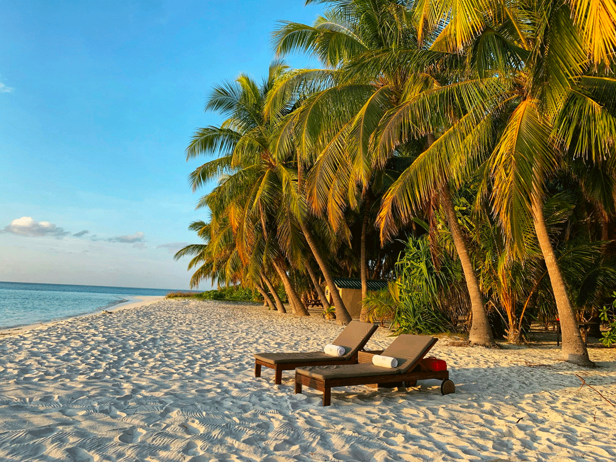 Solstolar på ett hotell vid Paje strand på Zanzibar