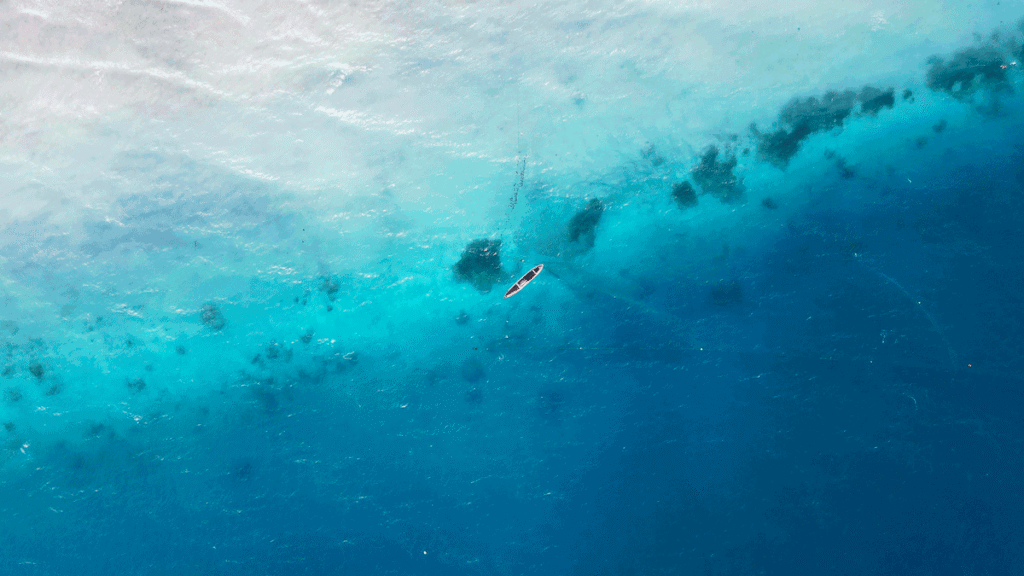 Tidvatten Zanzibar och alger på stranden - Vår expertguide för 2026