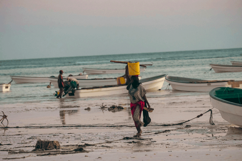 Upplev lågvatten och korallrev vid tidvatten Zanzibar - Reef walk i Jambiani