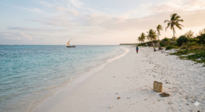Lugn strand i Matemwe på Zanzibar med vit sand, palmer och turkost hav