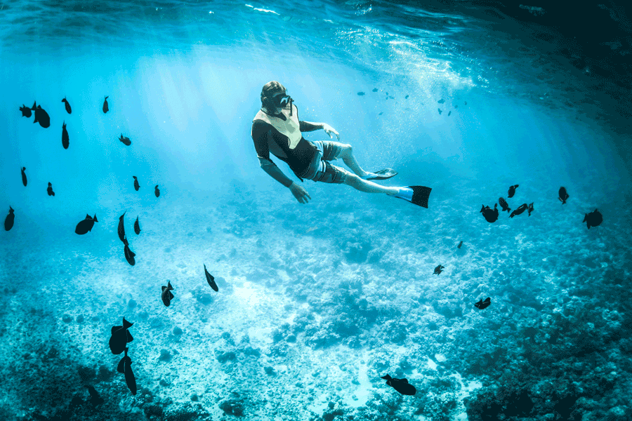 Mnemba Snorkling