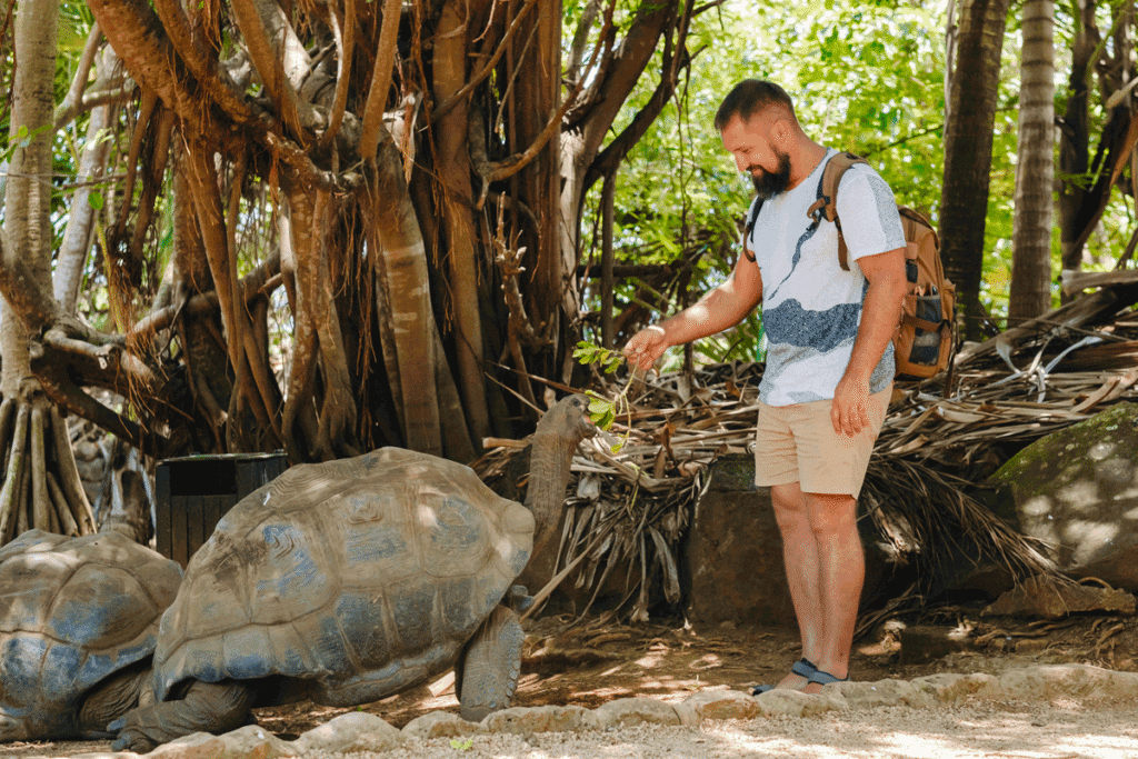 Prison Island Zanzibar – jättesköldpaddor, snorkling och utflykten Nakupenda