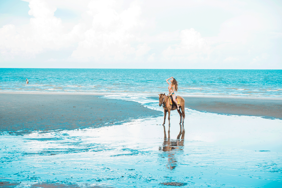 Ridning på stranden och i havet