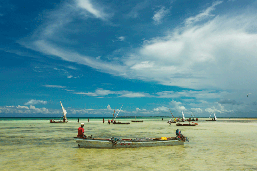 Zanzibar Kizimkazi Expérience