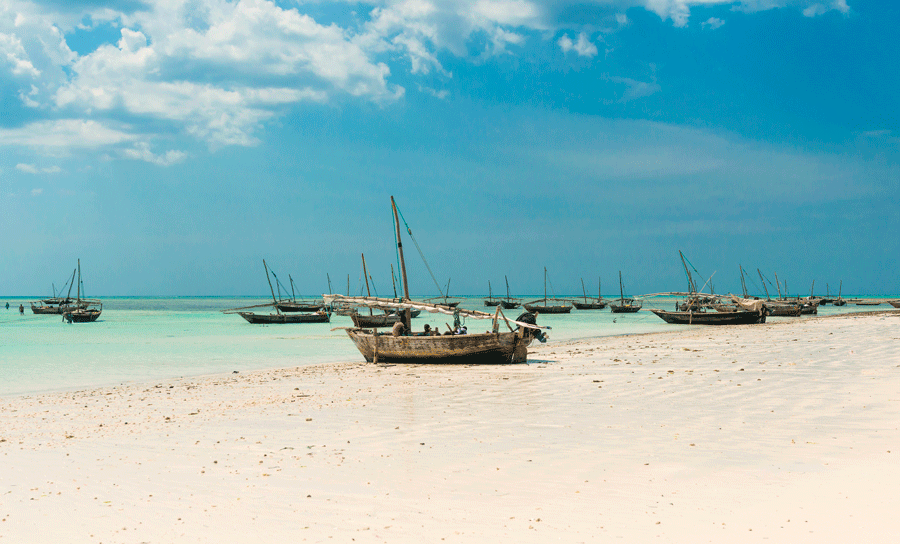 Traditionell zanzibarisk dhow-båt som seglar i det turkosa vattnet utanför Jambiani Beach vid solnedgången