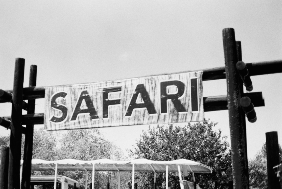 Safari