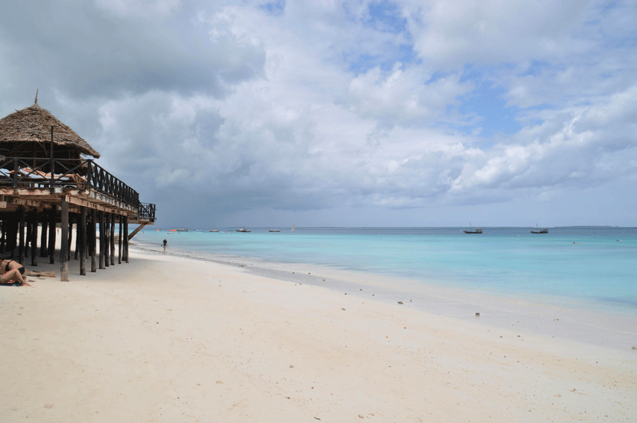 Zanzibars kustlinje med palmer och Indiska oceanen i bakgrunden