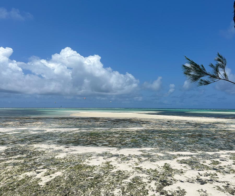 Lågvatten på Jambiani Beach med vit sand och turkost vatten