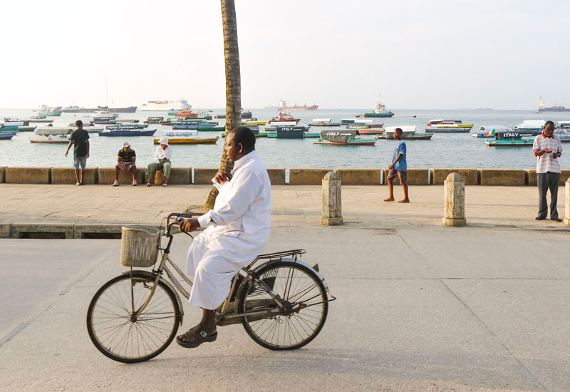 Zanzibar i november med tropisk strand, palmer och varmt Indiska oceanen